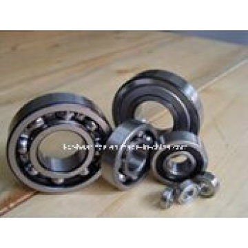 Motor Bearing, High Quality Bearing Deep Groove Ball Bearing 6016, 6016z, 6016-2z, 6016RS, 6016-2RS